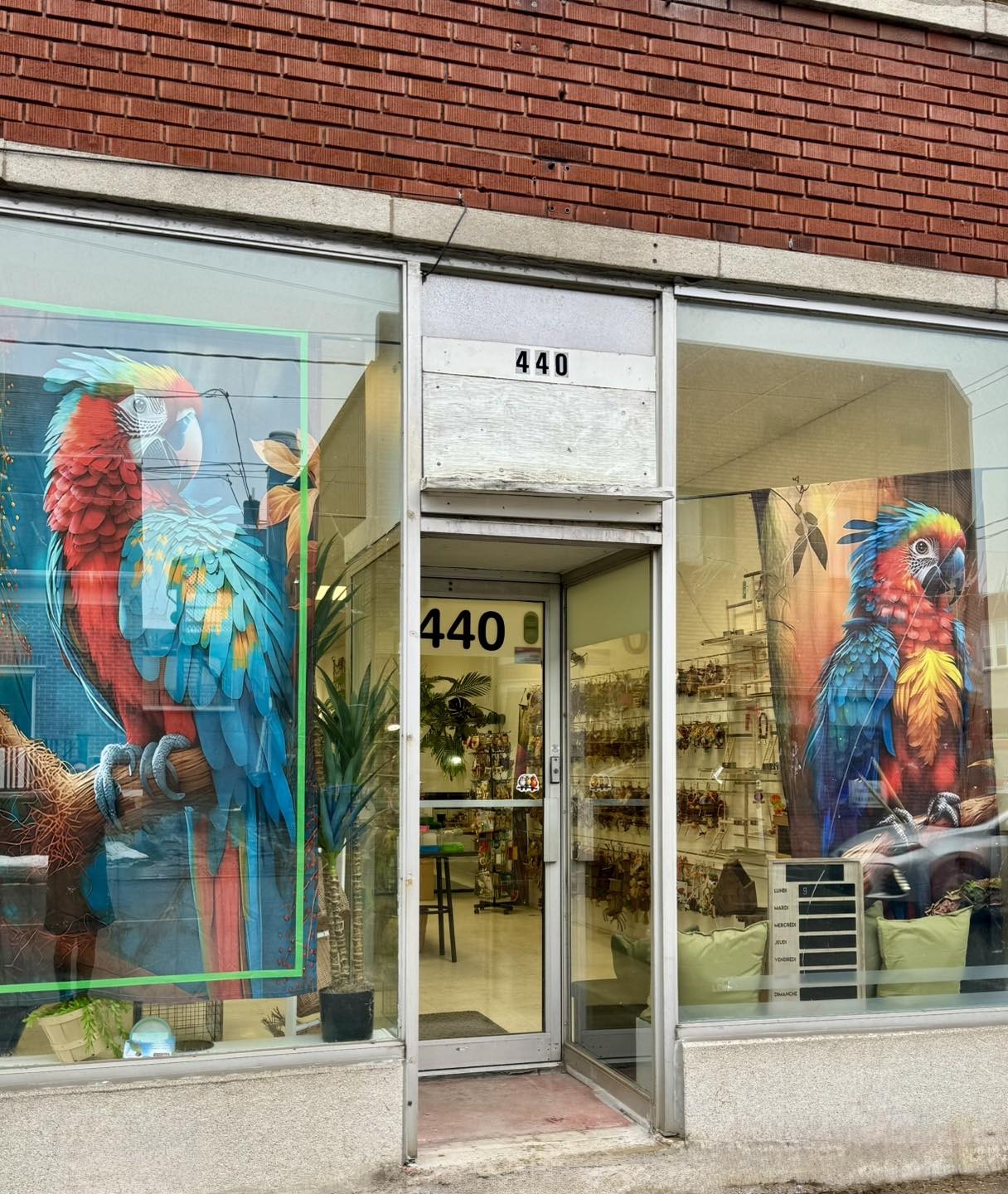 La façade du 440, rue Saint-Georges, avec ses grandes affiches de perroquets en vitrine