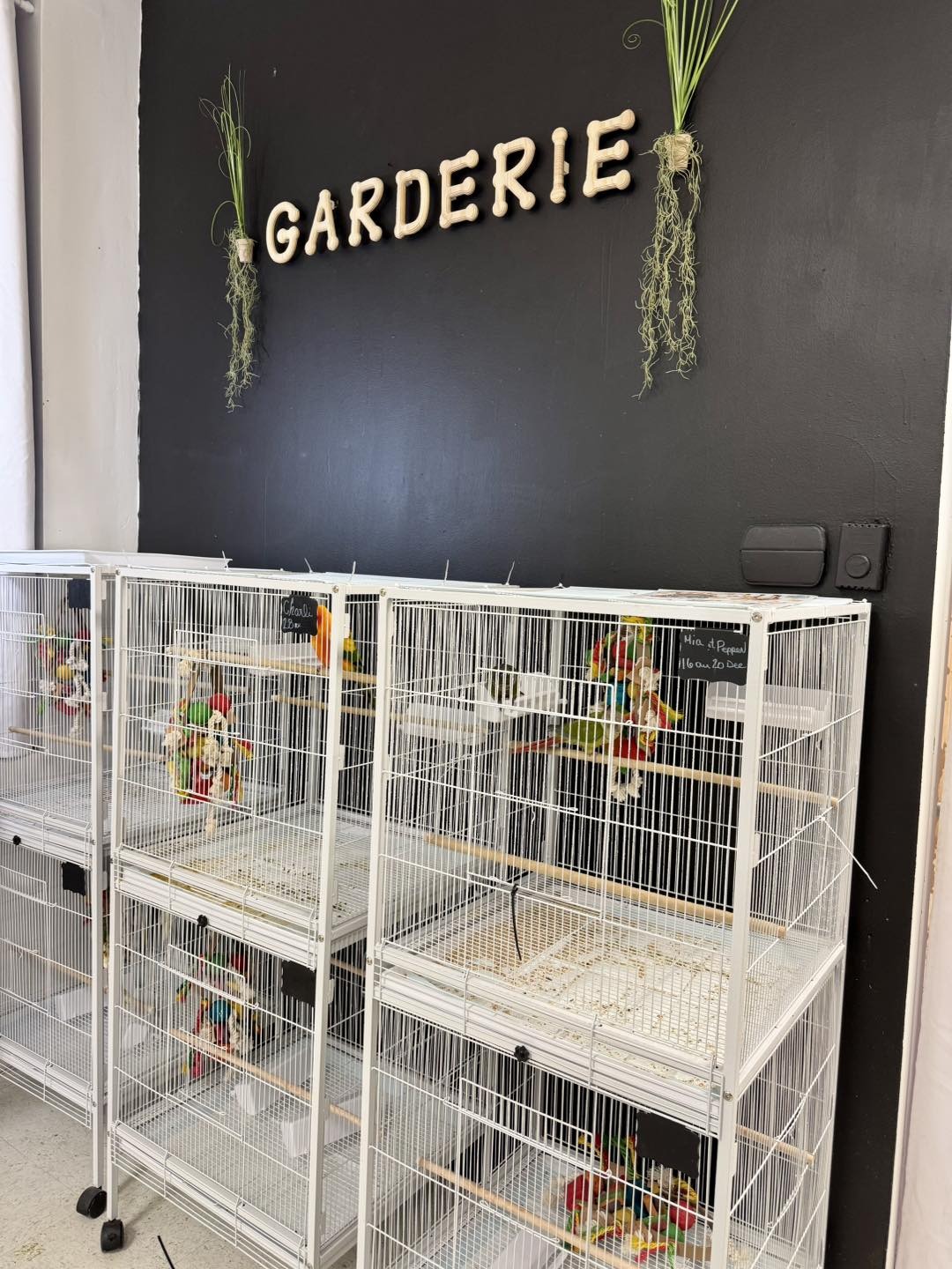 Le mur « GARDERIE » de la boutique, avec les cages de pension