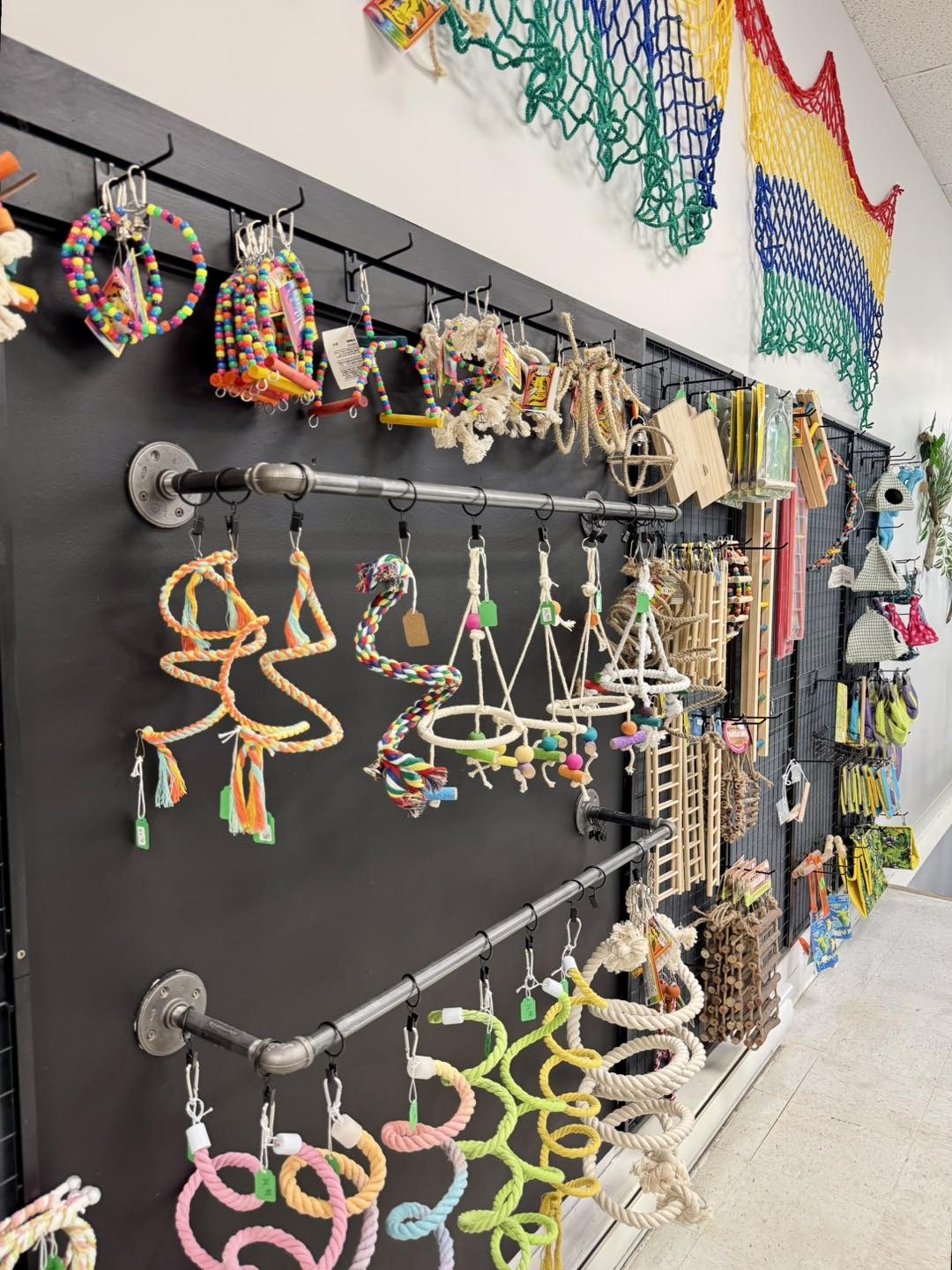 Le mur de jouets pour oiseaux : cordes, anneaux et échelles colorées